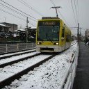 水曜〓雪と白と〓