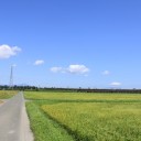 湖西路