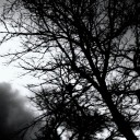 Photo37 「 脈 」