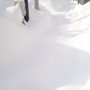 雪積もったよ