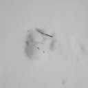 友人を訪ねて福島まで。