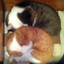 ねぇねぇ、うつって、どんな気分♥