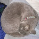 脳みそがｶﾁﾝｺﾁﾝ　「ほら、もうこんなに硬くなってるよ、触ってごらん？」編