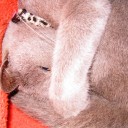 脳みそがｶﾁﾝｺﾁﾝ　「ほら、もうこんなに硬くなってるよ、触ってごらん？」編