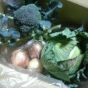 新鮮野菜