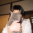 １１歳と９ヶ月と○日のCYOKUっち　“華麗に颯爽と即行で５月３０日を休業にした件”　の巻