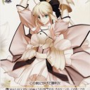 ＷＳ　セイバー・リリィが安価だったので