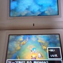 DQ6 2nd day(2)