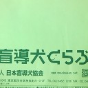 　チッチャイ