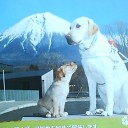 　チッチャイ