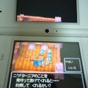 DQ6 4th day (1)