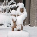 お母さん、