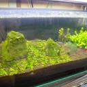 アクアリウム　黒ひげ危機一髪　（ナオちゃ～んにメッセージあるでぉ）