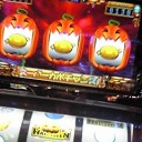 かぼちゃ