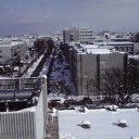 ポケカなしでも忙しい（どーでもよい写真追加）