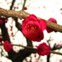 月曜〓仕事と焼き芋と〓