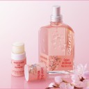 山桜の恋しるべ。