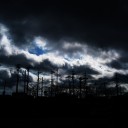 Photo40 「 Over Rain 」