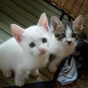 仕事の都合がついたので、代休を明日はとります。