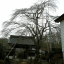 2/16に振り返って書く日記：2/15　史跡？と寺