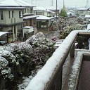 ゆっ、ゆき、雪だわ~♪