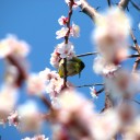土曜〓5%OFFとぶらぶらと〓