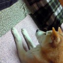 じっと