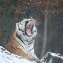 もどってきました