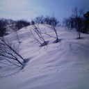 低山に遊ぶ。
