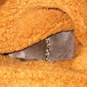 卑怯な報復に燃えるのん気で無駄に熱いあたしのハート！　“だからあれほどオカアサンを敵に回すなと”　の巻