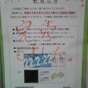 こなた「はやっ　と云うか弱っ」