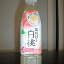 日中は暖かくて