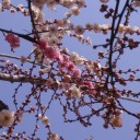 暖かくなってきたなぁ