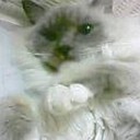 もっと、手加減してあげた方が・・・