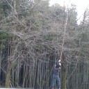 森を護る者
