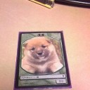 FNM間に合わず
