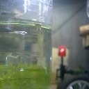 ハイド氏不在３日目　“無気力さんのぐんにゃりライフ”　の巻