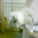 きゃ～おでこに小さな虫が・・・