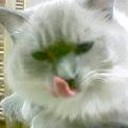 きゃ～おでこに小さな虫が・・・