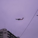 走っているモノ飛んでいるモノ　　flight pass on the head