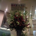 サンパレス福岡 BoAライブ編
