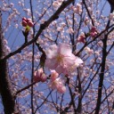 もう3月なのに