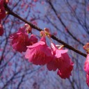もう3月なのに