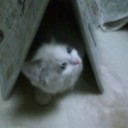 兄と母の両方から来ました
