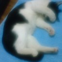 きょうも寒い一日でした。