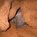 ジュラルミンをずっとジェラルミンだと思っていたよ！　“どーでもいいが多い間違いのあれこれ”　の巻