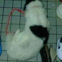 期間限定