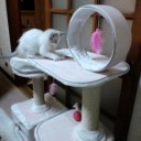 キャットタワー