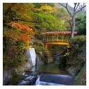 ちでじか・・・・地で・・痔か・・