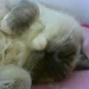 おかげさまで・・・